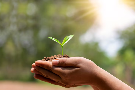 Sustainability